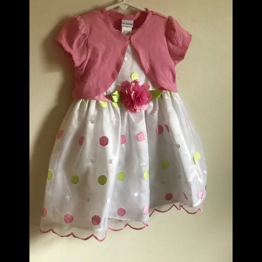 New Sweet Heart Rose Toddler Dress 2T